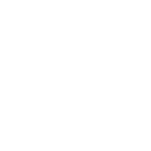 LOGOIPSUM-1.png