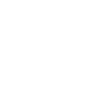 LOGOIPSUM-2.png