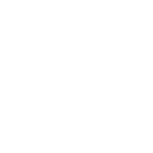 LOGOIPSUM-3.png