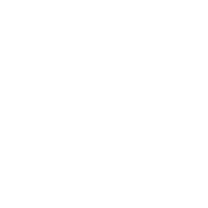 LOGOIPSUM-5.png
