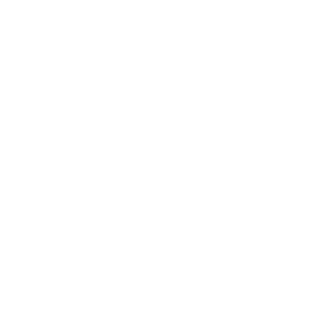 LOGOIPSUM-7.png